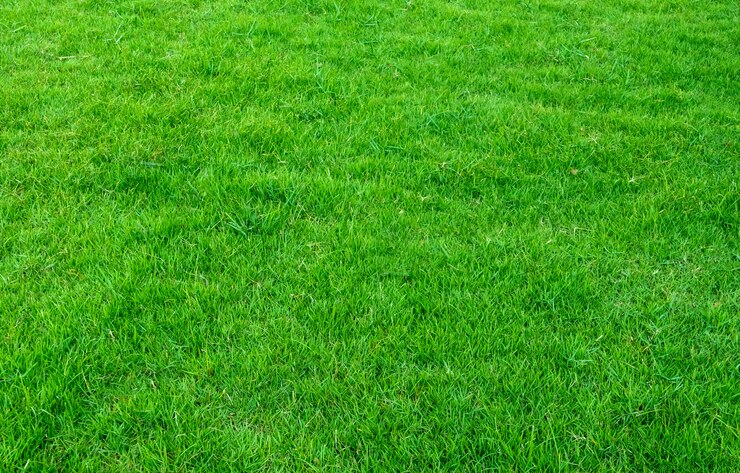 У Запоріжжі почався сезон весняного покосу трави - з якою найбільшою проблемою стикаються косарі