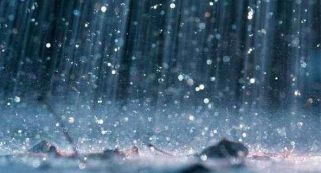 Дощ і плюсова температура – який прогноз зробили синоптики для Запоріжжя