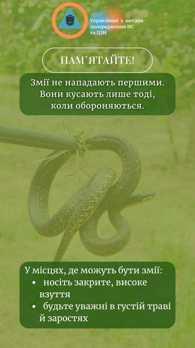 Як правильно поводитися та куди звертатися, якщо натрапили на змію - поради запорізьких фахівців