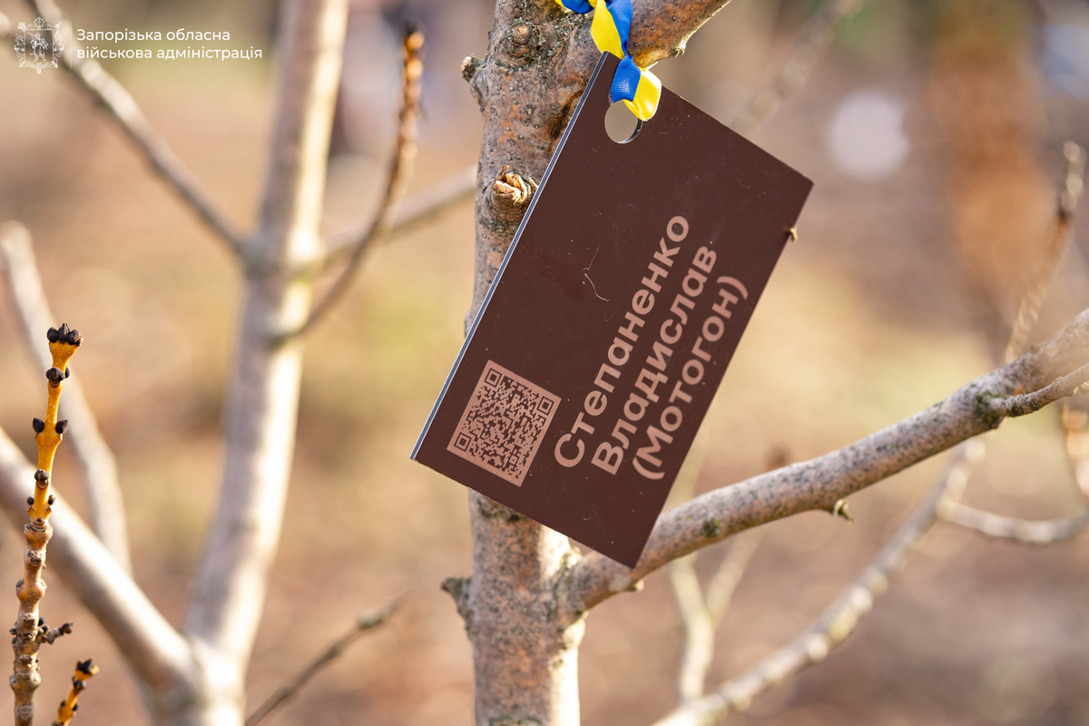 У Запоріжжі на Хортиці вшанували полеглих Героїв — у "Парку Честі" висадили сотні молодих дерев пам’яті (фото, відео)