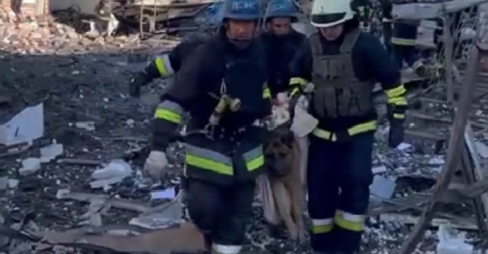 У Запоріжжі бійці ДСНС витягли з-під завалів пораненого внаслідок ракетного удару собаку - відео