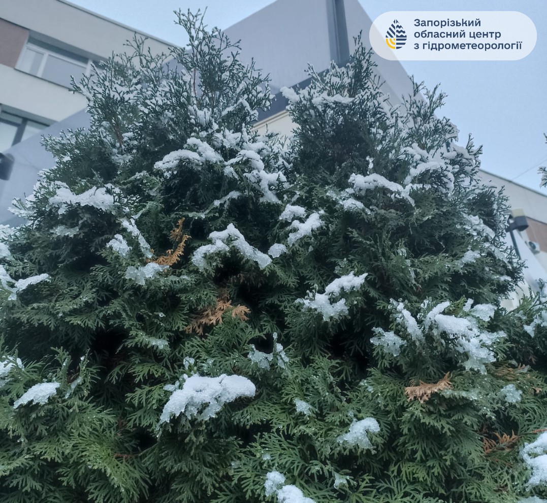 У Запоріжжі почали боротьбу зі снігом - фото перших зимових опадів