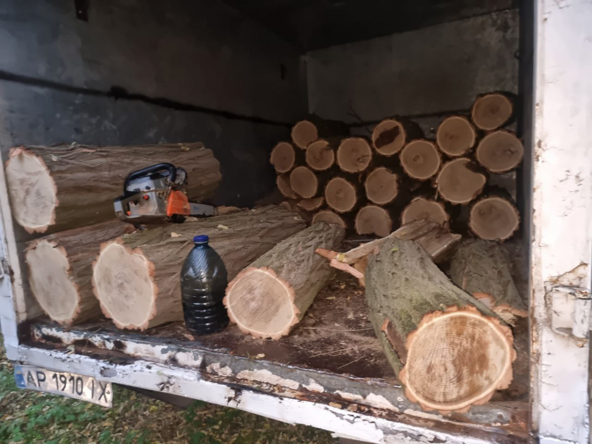 У Запорізькому районі затримали браконьєрів – чоловіки вирубували дерева (фото)