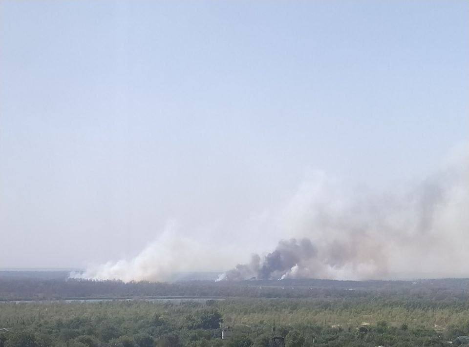 Полум’я охопило ліси – у Запорізькому районі вогнеборці гасять пожежу площею 50 гектарів (фото)