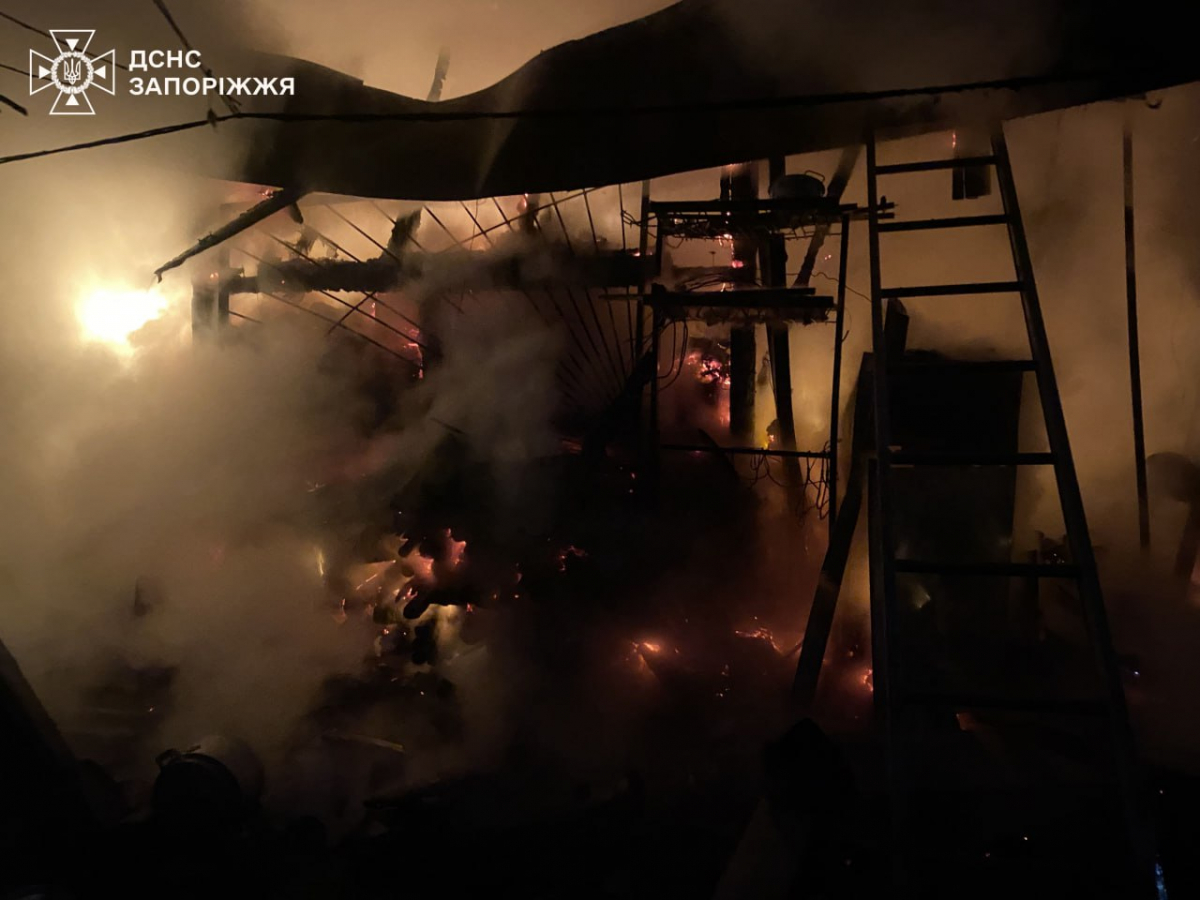 Винесли з диму та полум'я: у Запоріжжі врятували людину під час пожежі (фото, відео)