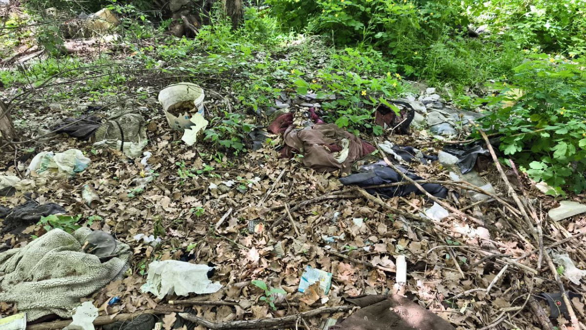 У Запоріжжі екоінспектори виявили чимале звалище різноманітного непотребу просто неба (фото)