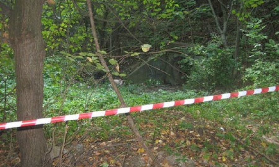 Жінку, яка пішла з дому та зникла в Запоріжжі, знайшли вбитою у лісосмузі