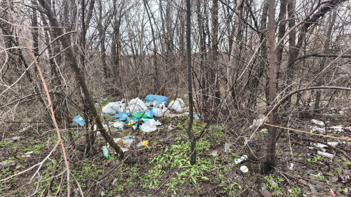 Незаконне сміття біля житлового будинку: екологи перевірили Дніпровський район