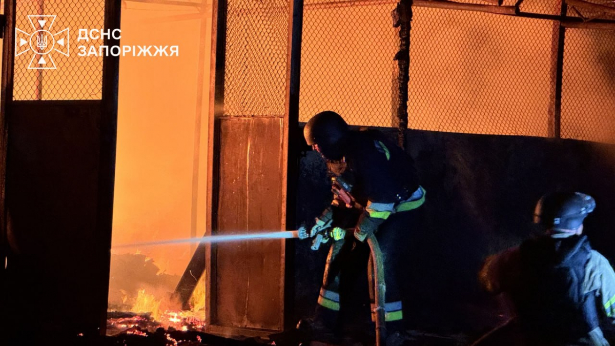 Російські дрони вночі атакували Запоріжжя - за минулу добу внаслідок обстрілів шестеро поранених (фото, відео)