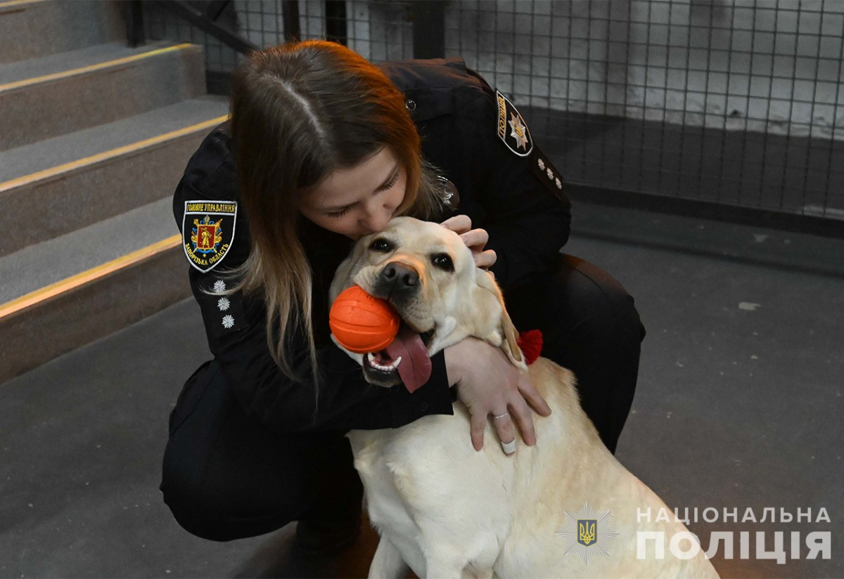 Подолати травми - запорізькі поліцейські собаки допомагають в реабілітації військових та цивільних (фото)