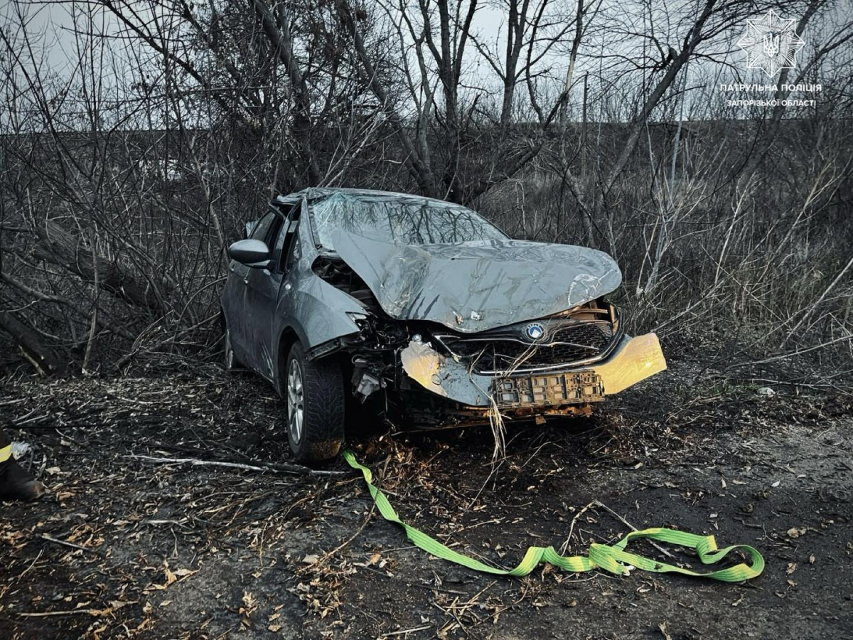 Напився і врізався у дерево – у Запоріжжі сталася аварія