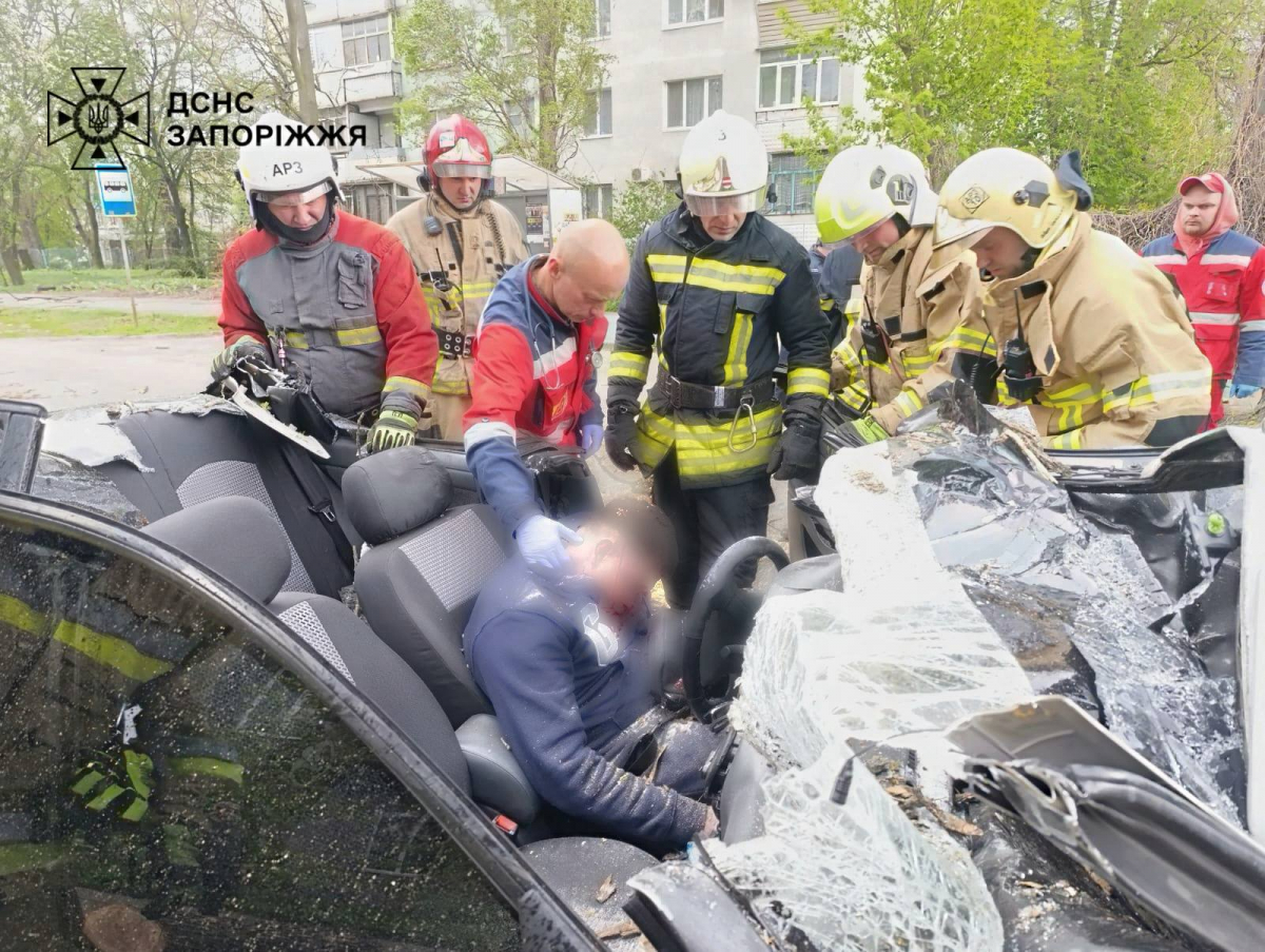 На вулиці кияшка в Запоріжжі дерево розчавило авто з водієм. Фото: ДСНС 