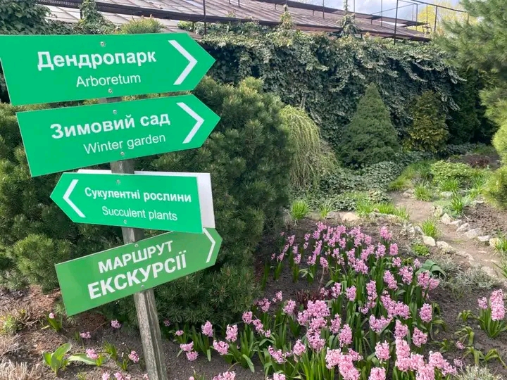 Весна, яку варто побачити: як у запорізькому ботсаду квітнуть сакури та магнолії (фото)