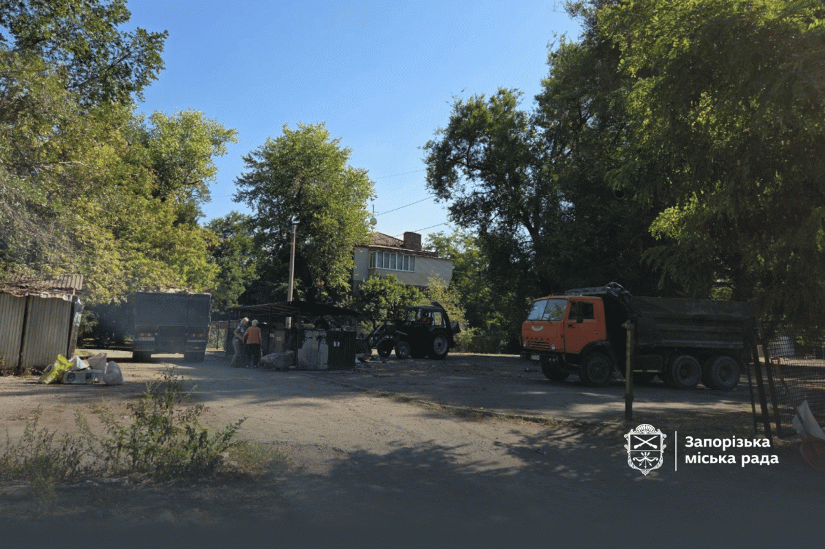 У дворі в історичній частині Запоріжжя влаштували величезне стихійне сміттєзвалище