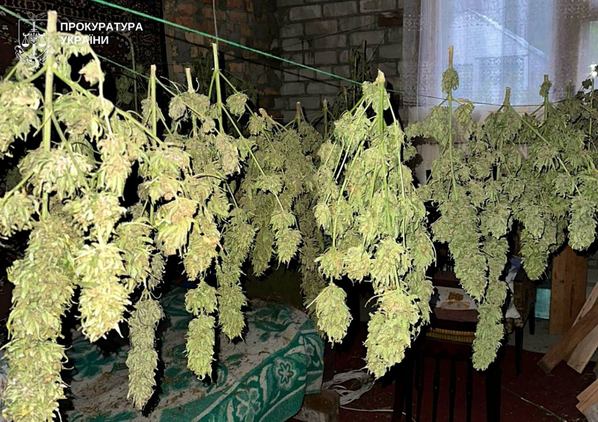 Масштабна операція – запорізькі правоохоронці провели 30 одночасних обшуків та викрили наркоугруповання (фото, відео)
