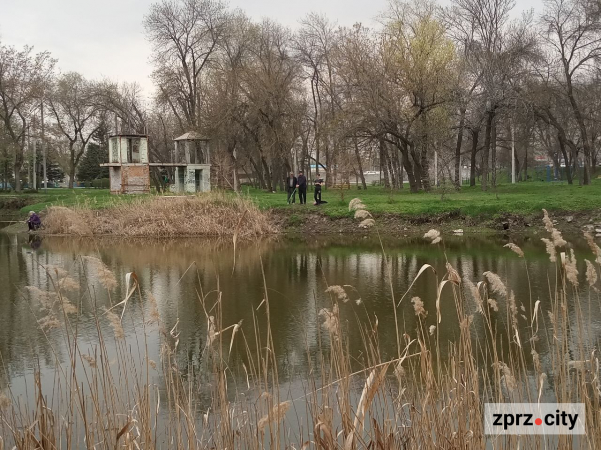 Сезон магнолій і лебеді: у вихідні в запорізькому парку був аншлаг - фото