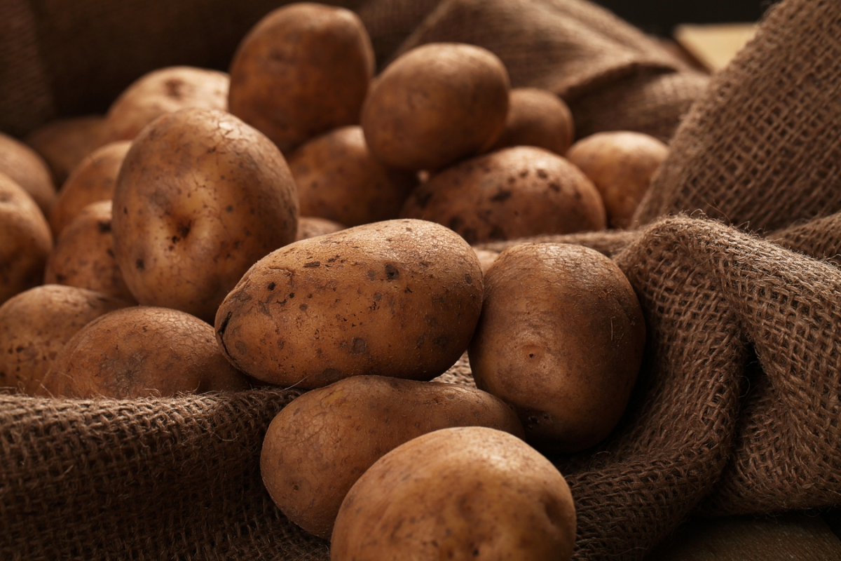 Щоб не проросла і не зіпсувалася: як правильно зберігати картоплю