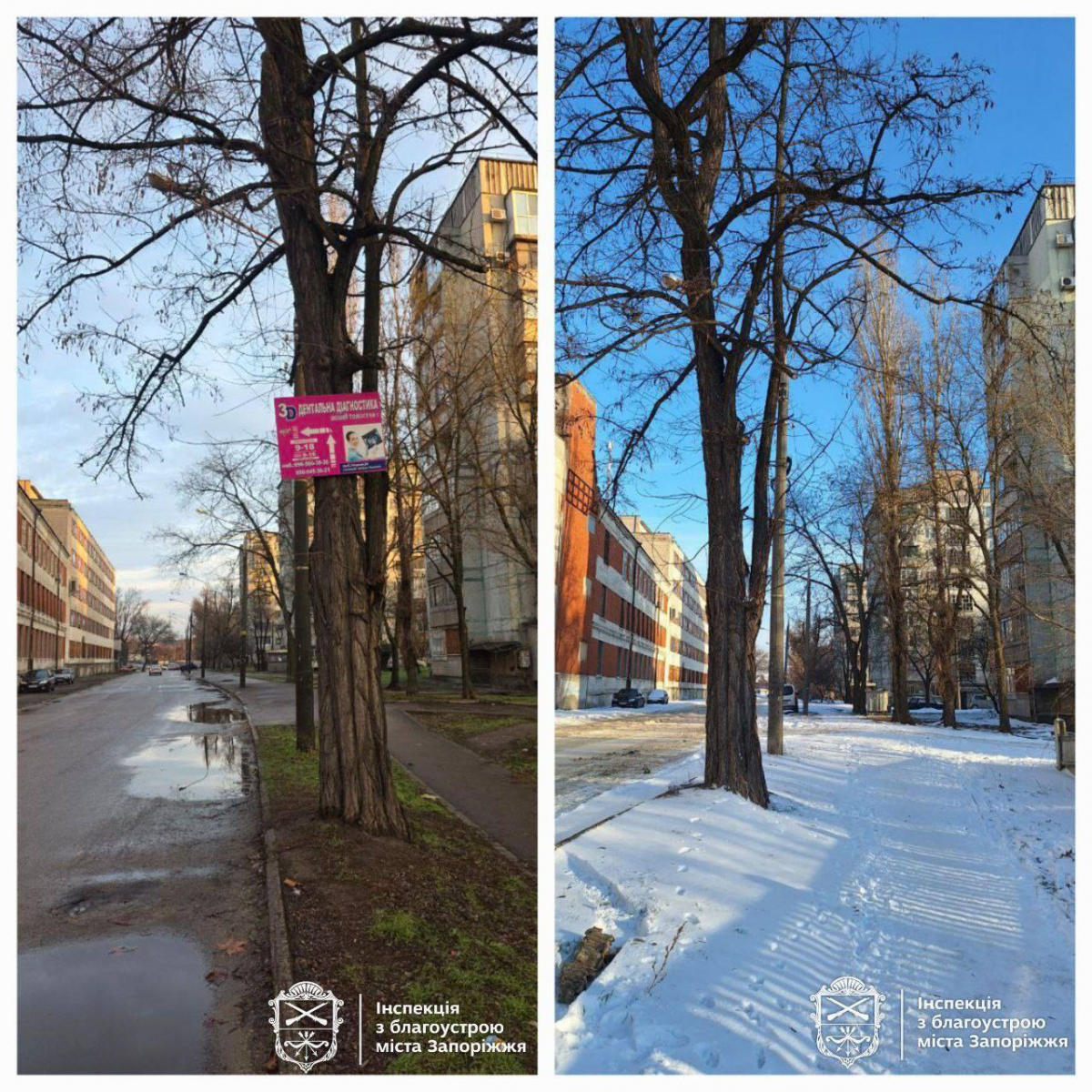 Звернення містян дало результат — у Запоріжжі прибрали незаконну зарядку для електромобіля (фото)