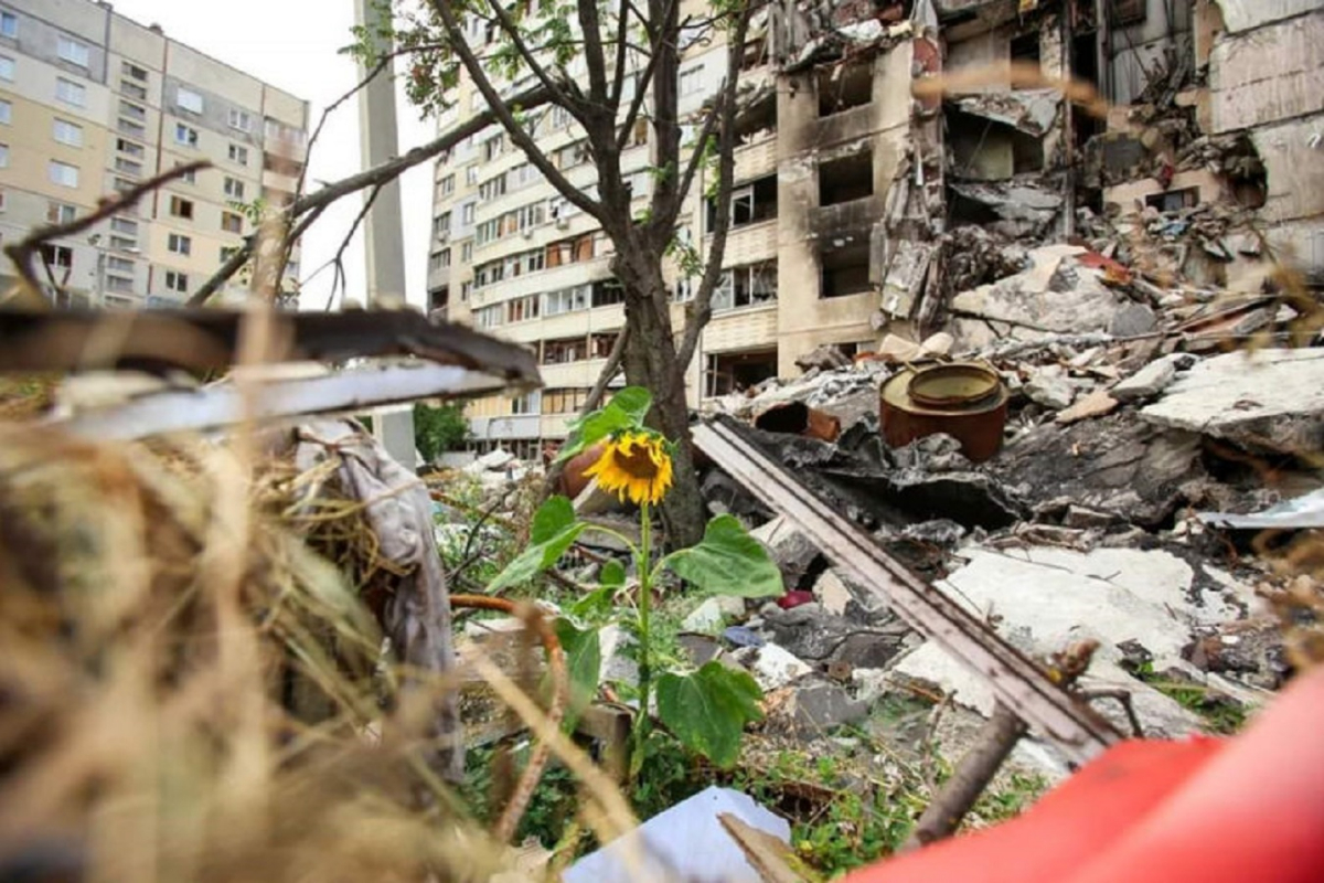 Які збитки українській землі завдала повномасштабна війна