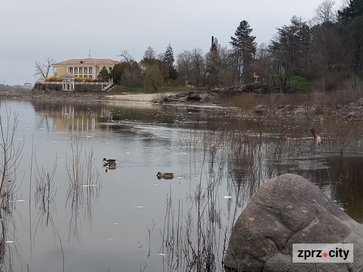 Води стало більше: як виглядає узбережжя Хортиці на початку квітня