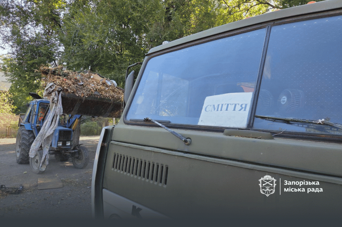 У дворі в історичній частині Запоріжжя влаштували величезне стихійне сміттєзвалище