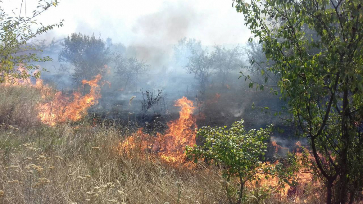 На Хортиці сталась масштабна пожежа, яку бачили багато містян - ведеться розслідування (фото)