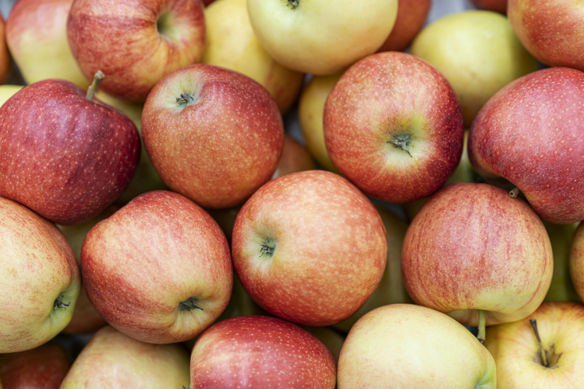 Перевірені способи: як зберігати яблука свіжими упродовж тривалого часу