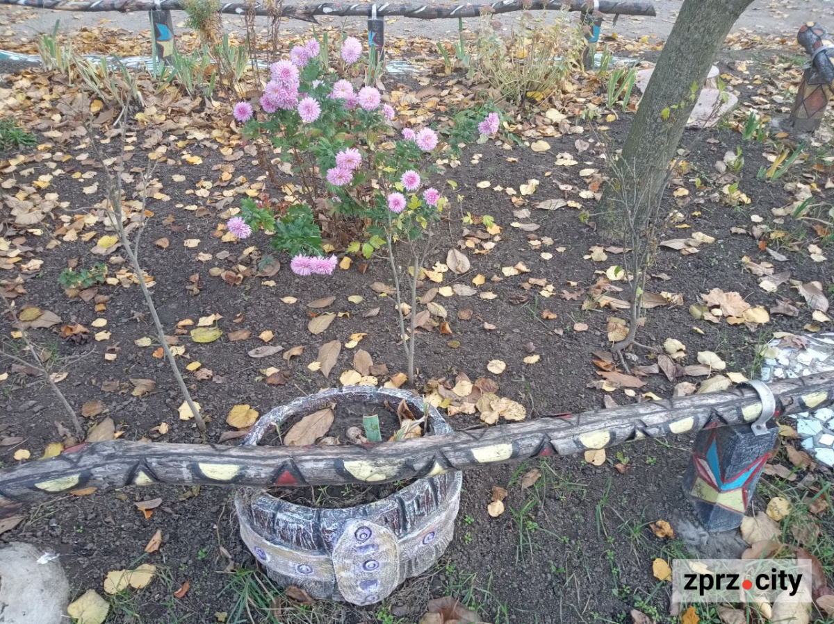 Казковий какаду, метелик і черепаха - запоріжець створив біля зупинки незвичайну зону (фото)