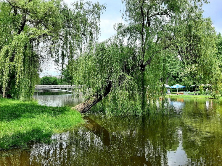 Якою буде погода в Запоріжжі в останні дні травня: прогноз