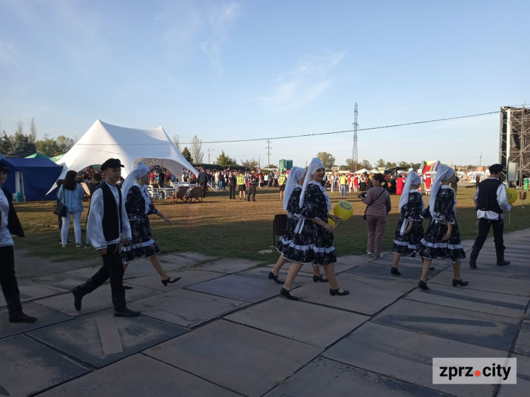 Народні гуляння, сучасне мистецтво та Арсен Мірзоян - як у Запорізькій області відзначали 200-річчя Приморська: фото
