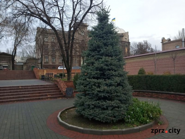 Як виглядає восени один з красивих скверів Запоріжжя - фото
